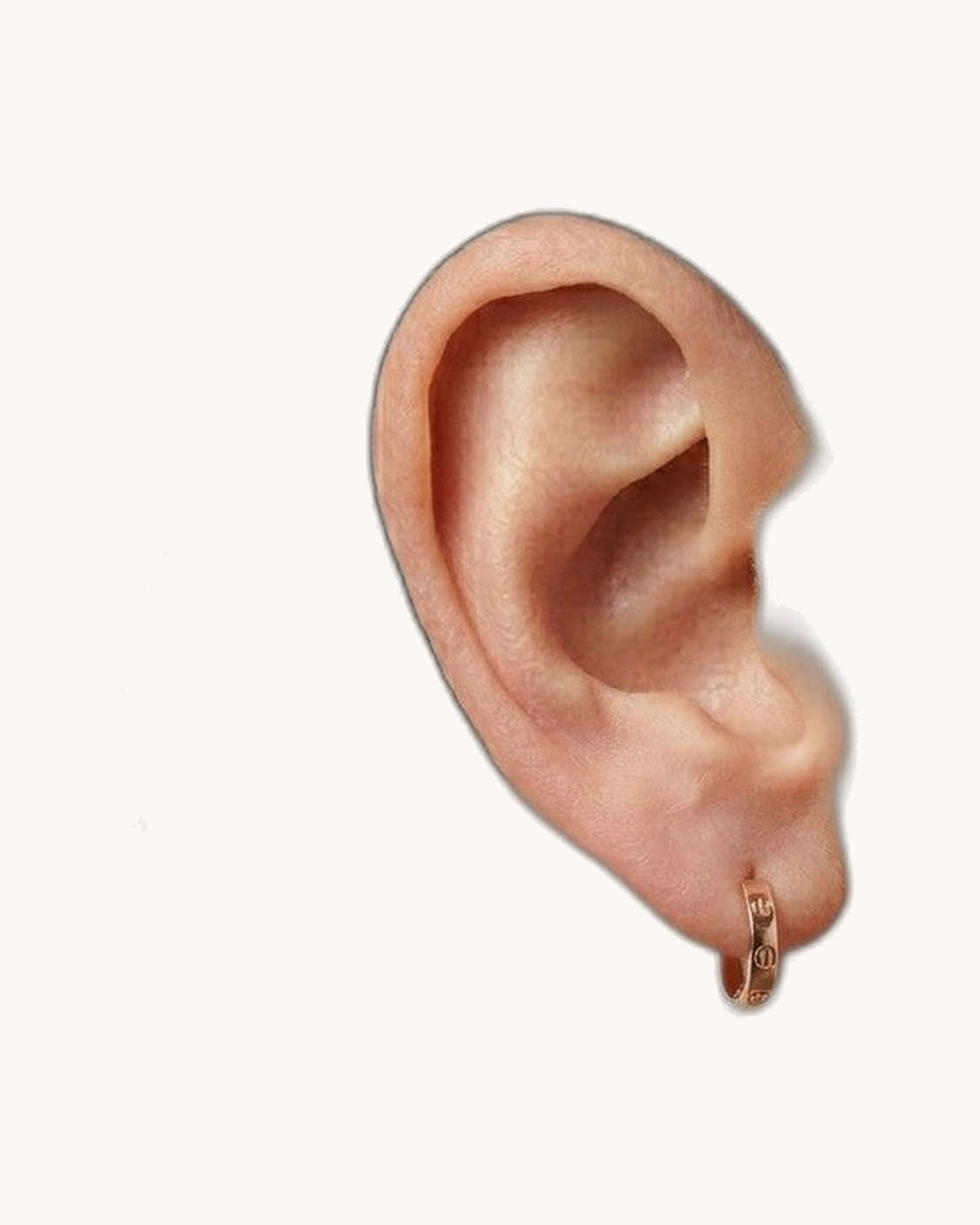 Mayceline Hoop Classic Earrings – Small Model (Rose Gold)